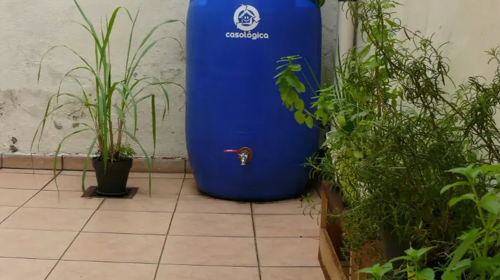 As vantagens de ter uma mini cisterna no sítio: economia, autonomia e inteligência no uso da água